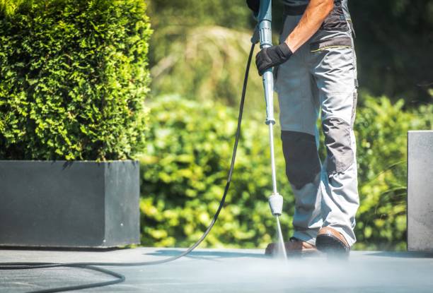 Best Fence Cleaning and Maintenance in La Porte City, IA